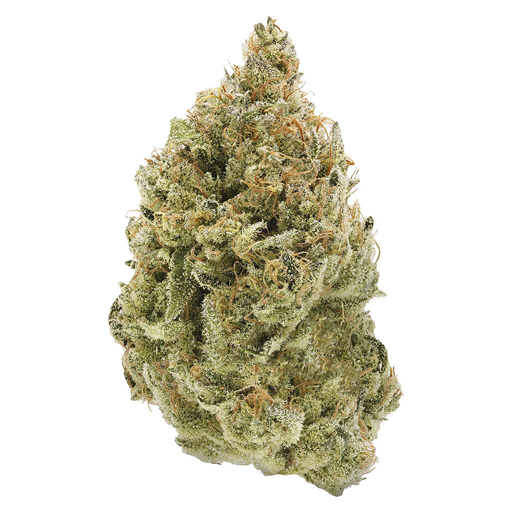 BC Organic Fruit Loopz 3.5g - BC Organic Fruit Loopz 3.5g Dried Flower